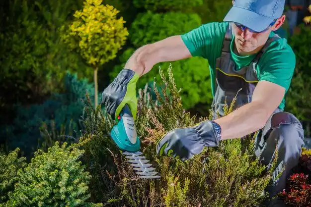landscaping services Vermontville